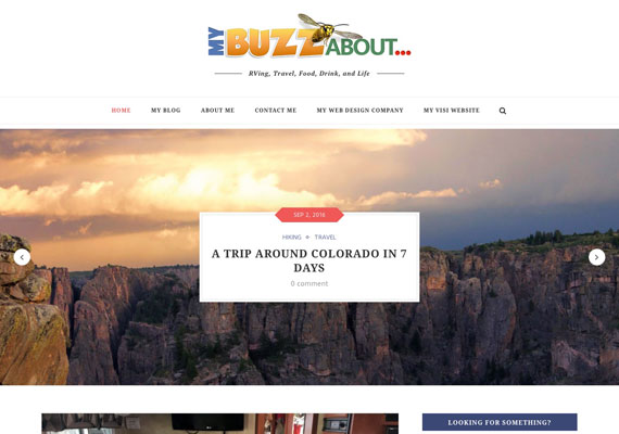 This is another Wordpress theme that I use for my personal travel blog. Website: <a href='http://www.mybuzzabout.com'>www.mybuzzabout.com</a>.