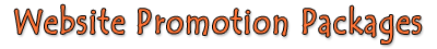 Website Promotion